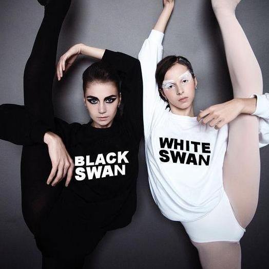 Black Swan/White Swan Sweatshirts watereverysunday